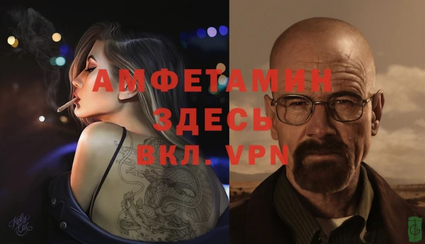 стаф Медногорск
