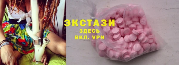 стаф Медногорск