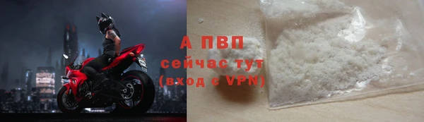 мяу мяу мука Магадан