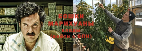 стаф Медногорск