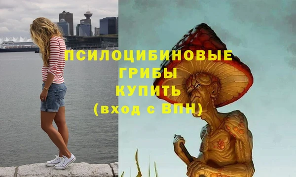 герыч Мегион