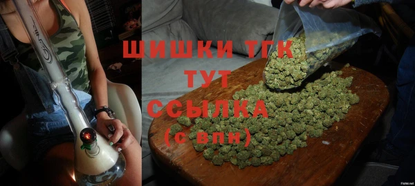 стаф Медногорск
