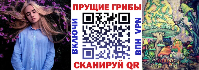 Купить  Кинель  Псилоцибиновые грибы прущие грибы 